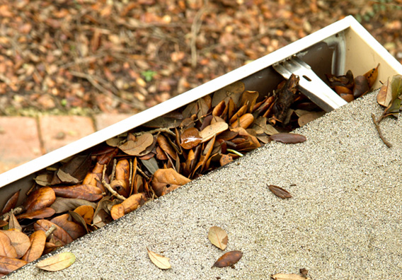 Oregon Gutter Cleaning